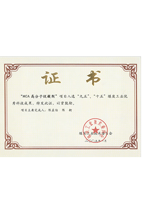 2005年1月MCA高分子促凝劑獲“九五、十五”科技成果獎(jiǎng)